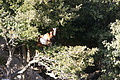 DSC03298 - Bernhard Saalfeld