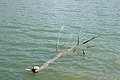 DSC03303 - Bernhard Saalfeld