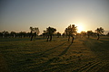 DSC03362 - Bernhard Saalfeld
