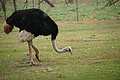 DSC04099 - Bernhard Saalfeld
