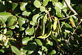 DSC04140 - Bernhard Saalfeld