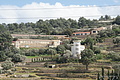 DSC04219 - Bernhard Saalfeld