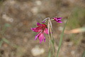 DSC04312 - Bernhard Saalfeld