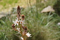 DSC04318 - Bernhard Saalfeld
