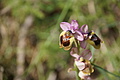 DSC04321 - Bernhard Saalfeld