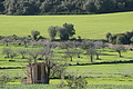 DSC04442 - Bernhard Saalfeld