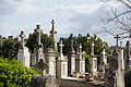 DSC04472 - Bernhard Saalfeld