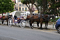DSC04579 - Bernhard Saalfeld