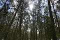DSC04820 - Bernhard Saalfeld