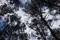 DSC04821 - Bernhard Saalfeld