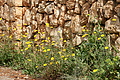 DSC04830 - Bernhard Saalfeld