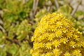 DSC04848 - Bernhard Saalfeld