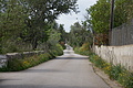DSC04870 - Bernhard Saalfeld