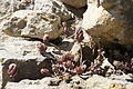 DSC05017 - Bernhard Saalfeld