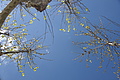 DSC05045 - Bernhard Saalfeld