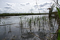 DSC05072 - Bernhard Saalfeld