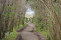 DSC05079 - Bernhard Saalfeld