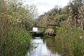 DSC05085 - Bernhard Saalfeld