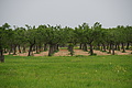 DSC05188 - Bernhard Saalfeld