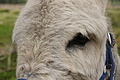 DSC05197 - Bernhard Saalfeld