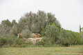 DSC05211 - Bernhard Saalfeld