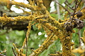 DSC05220 - Bernhard Saalfeld
