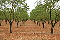 DSC05226 - Bernhard Saalfeld
