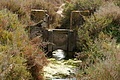 DSC03099 - Bernhard Saalfeld
