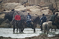 DSC03317 - Bernhard Saalfeld