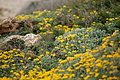 DSC03380 - Bernhard Saalfeld