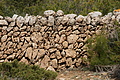 DSC03385 - Bernhard Saalfeld