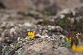 DSC03545 - Bernhard Saalfeld