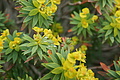 DSC03571 - Bernhard Saalfeld