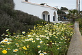 DSC03580 - Bernhard Saalfeld