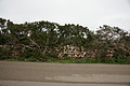 DSC03655 - Bernhard Saalfeld