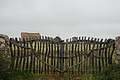 DSC03659 - Bernhard Saalfeld