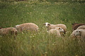 DSC03679 - Bernhard Saalfeld