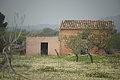 DSC03682 - Bernhard Saalfeld