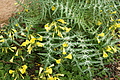 DSC03700 - Bernhard Saalfeld