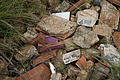 DSC03702 - Bernhard Saalfeld