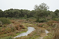 DSC03772 - Bernhard Saalfeld