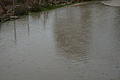 DSC03776 - Bernhard Saalfeld