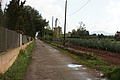 DSC03860 - Bernhard Saalfeld