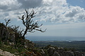 DSC03935 - Bernhard Saalfeld