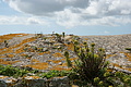 DSC03942 - Bernhard Saalfeld