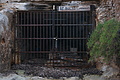 DSC04140 - Bernhard Saalfeld
