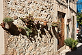 DSC04247 - Bernhard Saalfeld