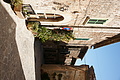 DSC04260 - Bernhard Saalfeld