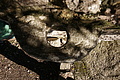 DSC04331 - Bernhard Saalfeld