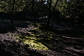 DSC04355 - Bernhard Saalfeld